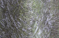 Winwick fibreglass roof work