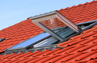Winwick roof window